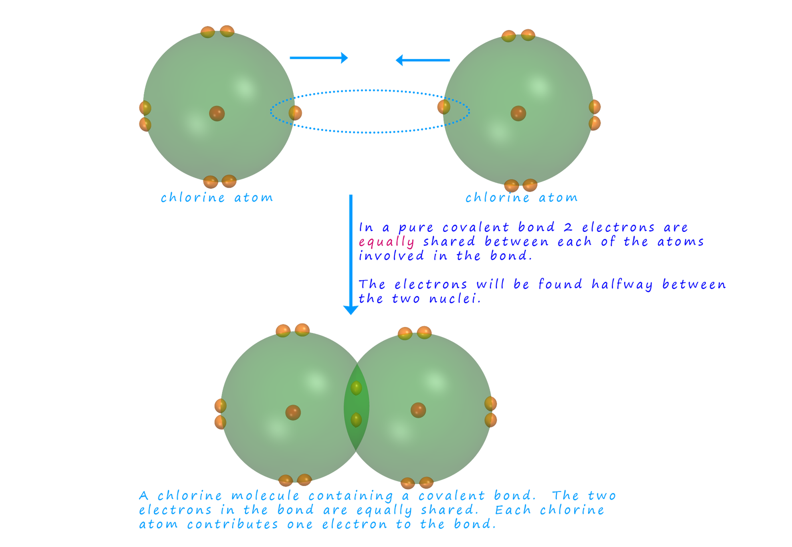 3D model showing how the electrons are shared in a covalent bond in a chlorine molecule.
